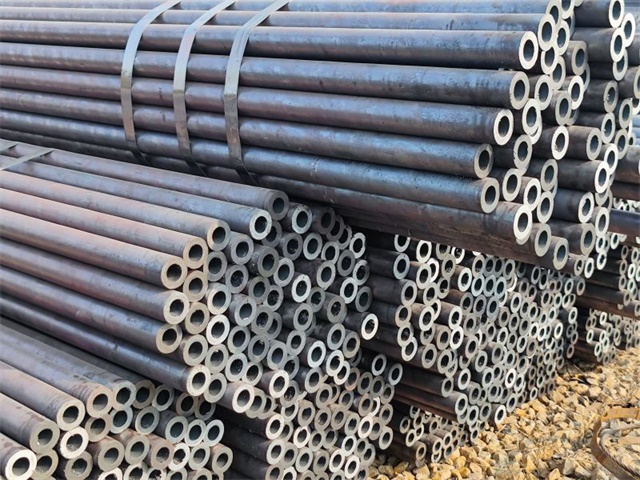 IMG_20230401_155420.jpg IMG_20230401_155420.jpg